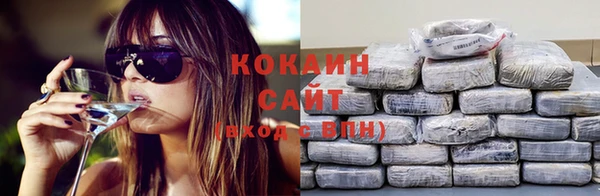 ешки Белокуриха