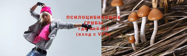 экстази Богданович