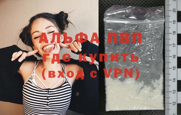 ешки Белокуриха